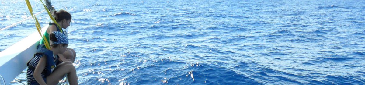 High Seas High School 2016/2017