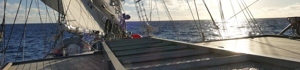 High Seas High School 2018/2019