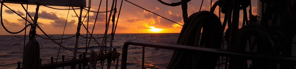 High Seas High School 20/21