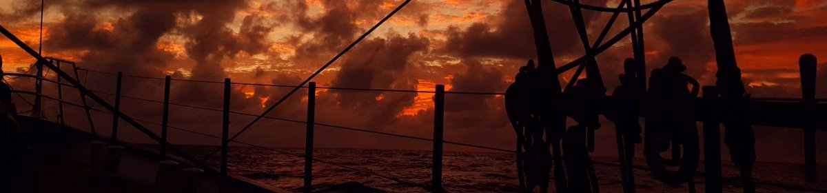 High Seas High School 20/21