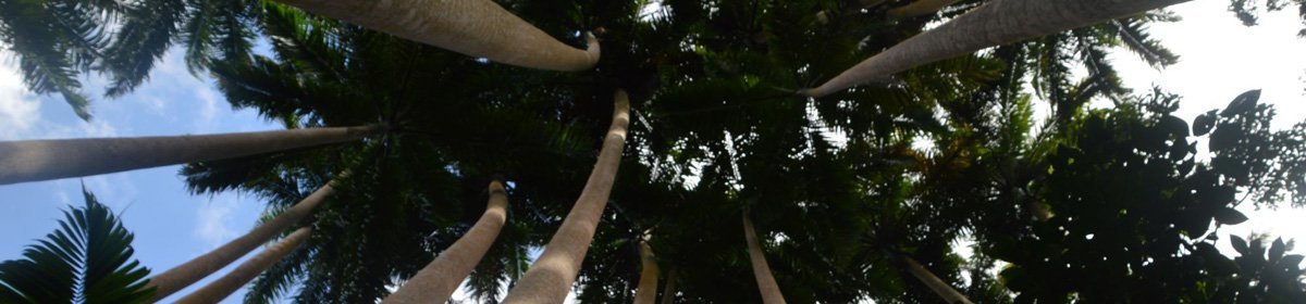 High Seas High School 20/21